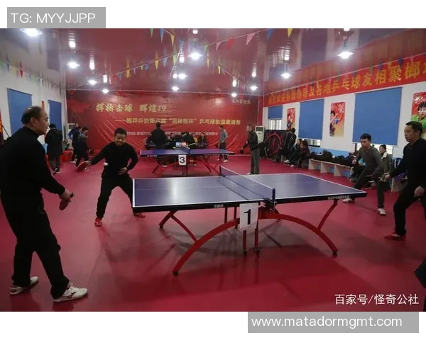 北京乒乓球队耐力训练引发热议专家与球迷观点碰撞